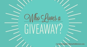 who love a giveaway